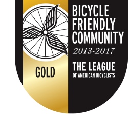 Gold Award