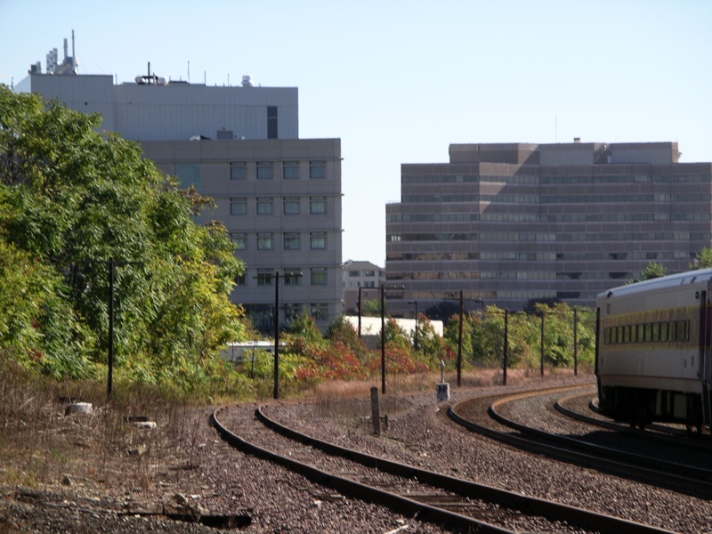 IMGP2966.JPG