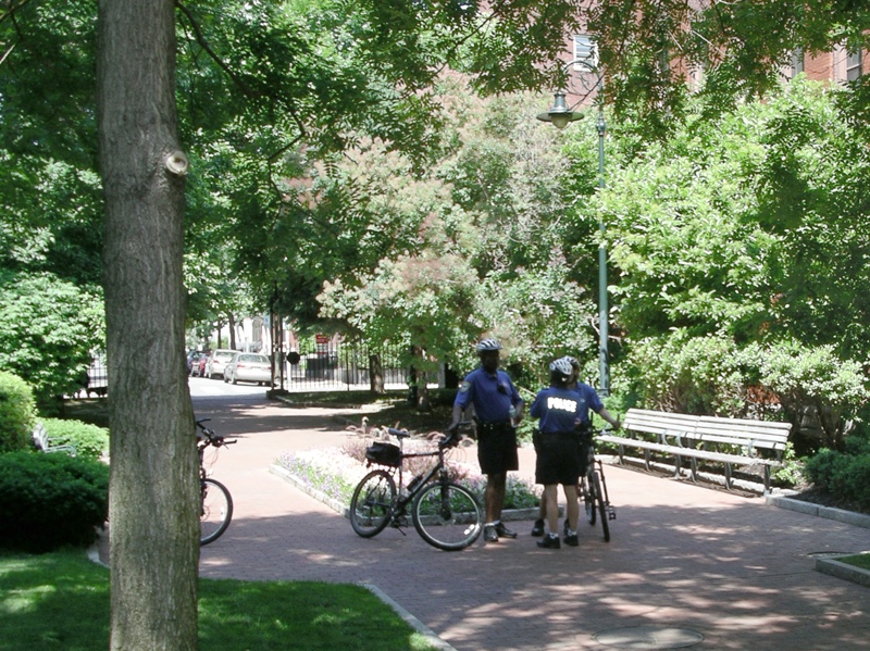 IMGP0035.JPG