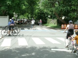 IMGP0048.JPG