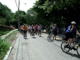 IMGP0051.JPG